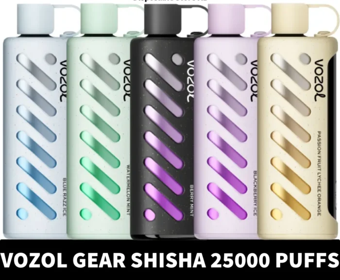 VOZOL Gear Shisha 25000